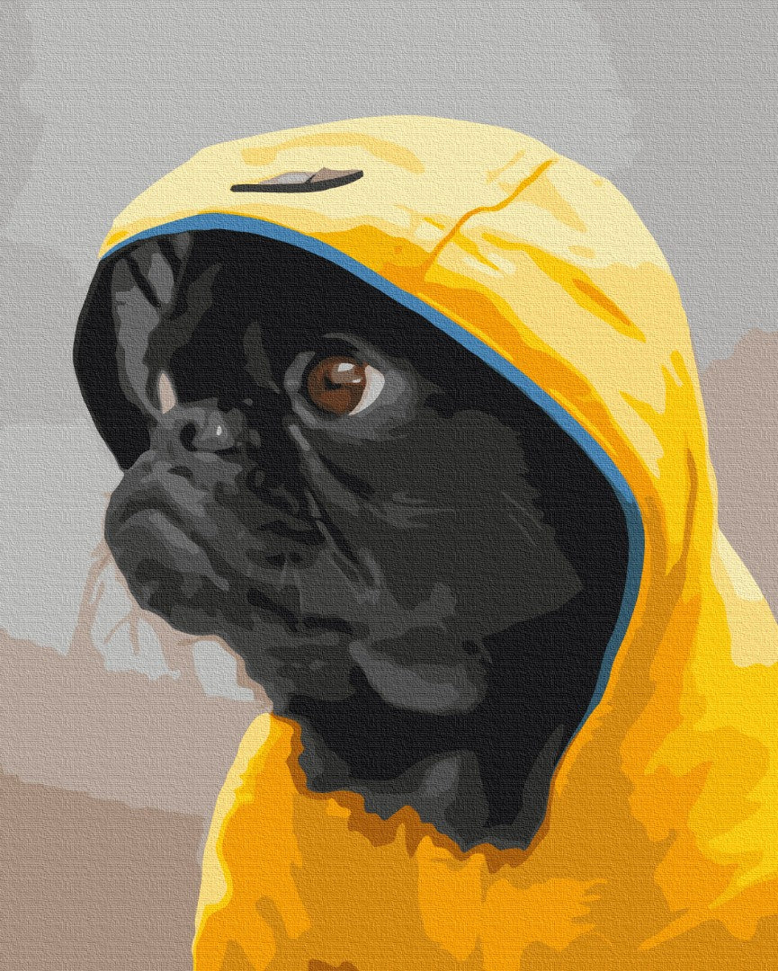 Malen nach Zahlen Motiv - Der Mops in Hoodie