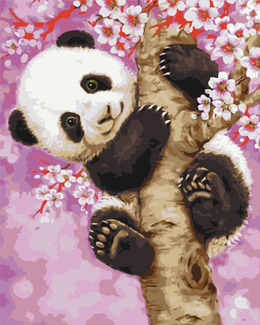 Malen nach Zahlen Motiv - Panda auf Sakura