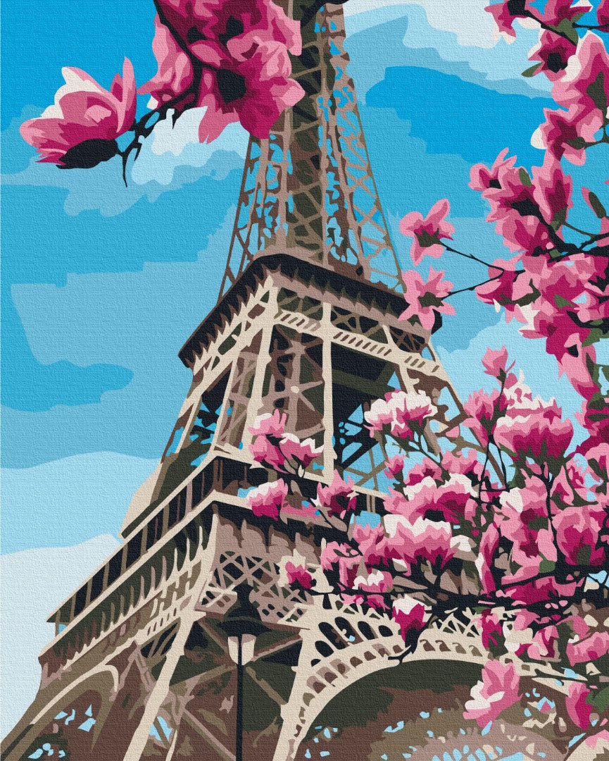 Malen nach Zahlen Motiv - Magnolienblüte in Paris