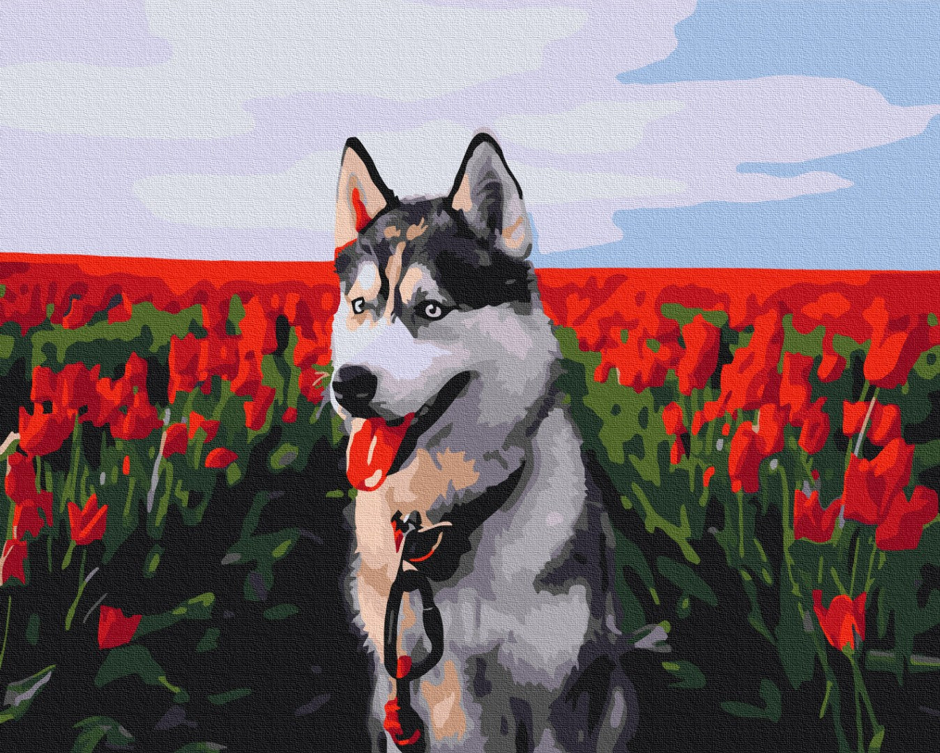 Malen nach Zahlen Motiv - Husky in einem Tulpenfeld